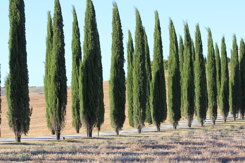 La Terrazza Sulla Val D'Orcia Castiglione dʼOrcia Exterior foto