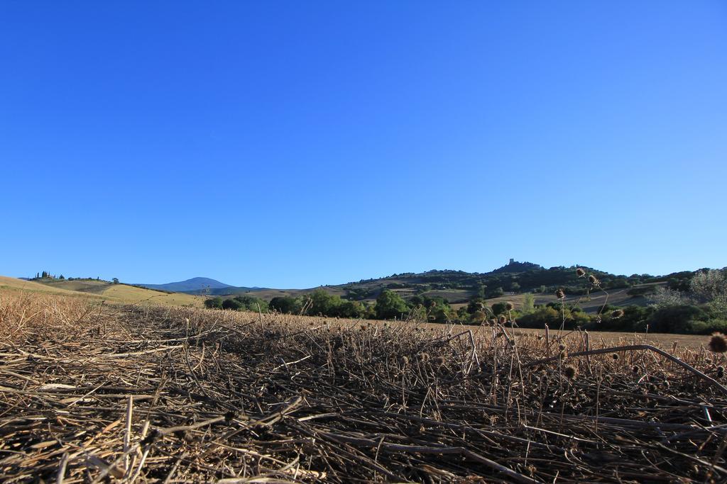 La Terrazza Sulla Val D'Orcia Castiglione dʼOrcia Exterior foto