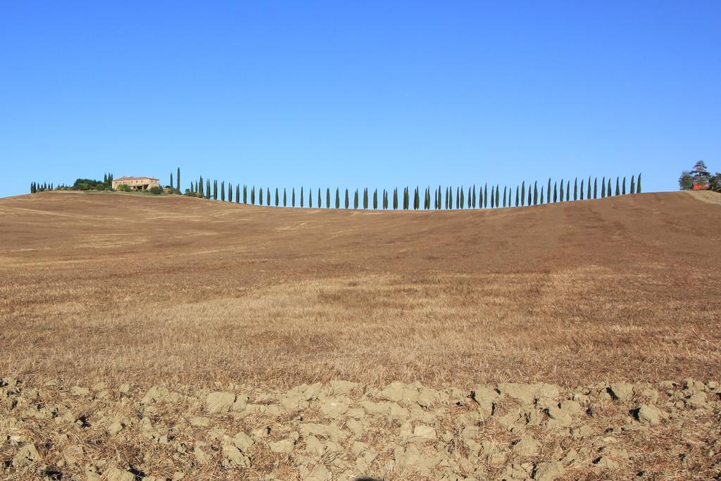 La Terrazza Sulla Val D'Orcia Castiglione dʼOrcia Exterior foto