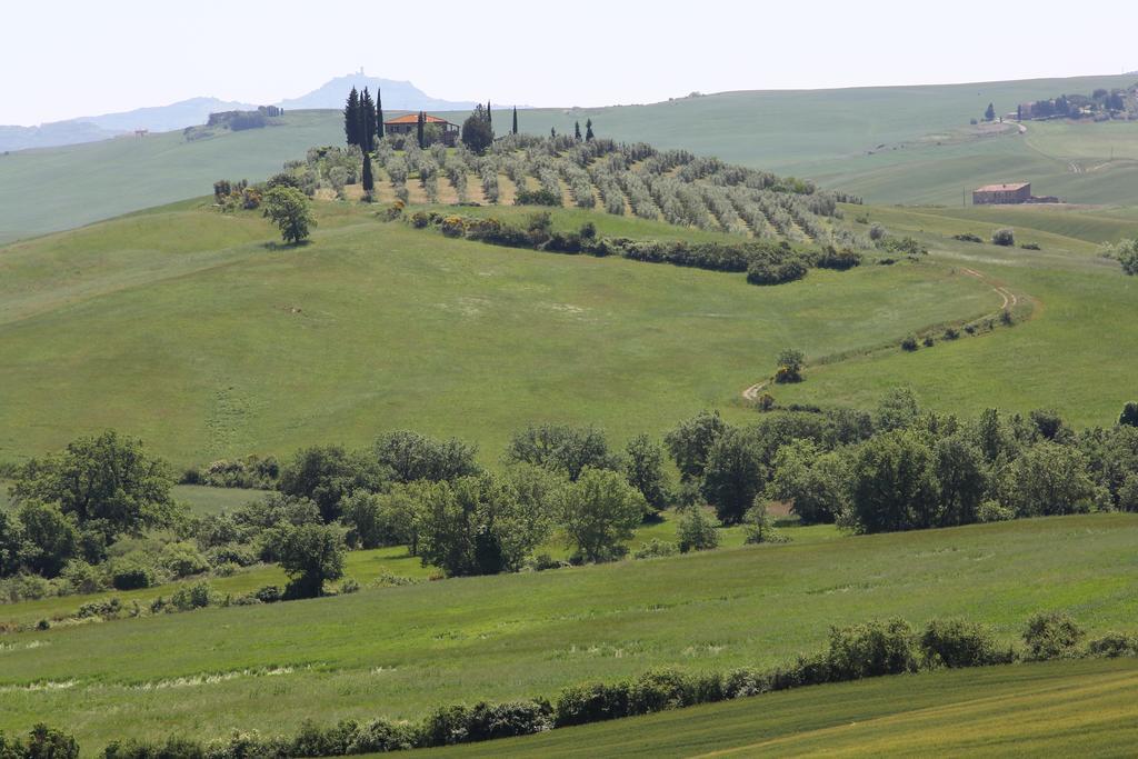 La Terrazza Sulla Val D'Orcia Castiglione dʼOrcia Exterior foto